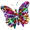 butterfly-desi-glitters-75